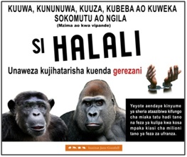 Material en swahili de la campaña en RDC